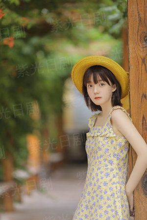 我的小狗斯齐普