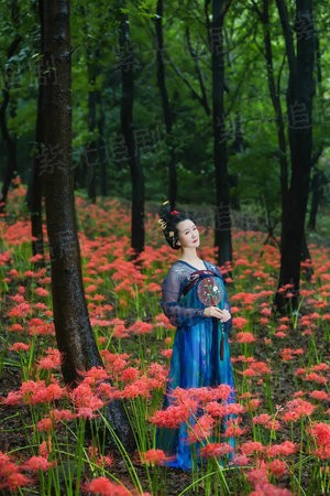 寻找李小龙